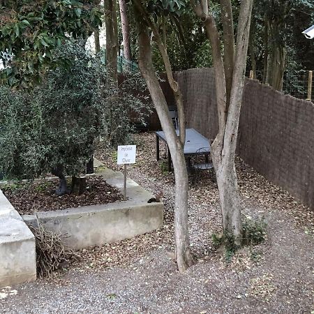 Au Vieux Lavoir Avec Parking Prive, Jardin , Climatisation, A 500 M De La Cite Καρκασόν Εξωτερικό φωτογραφία