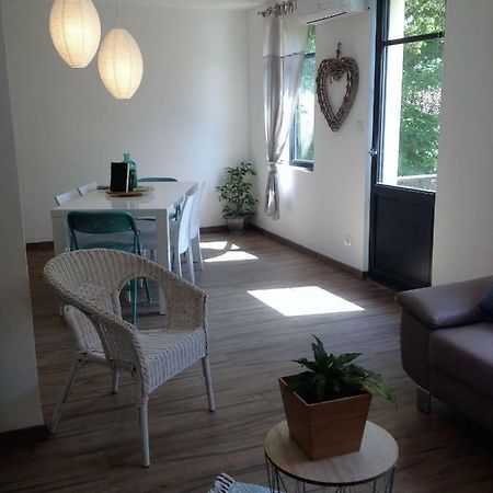 Au Vieux Lavoir Avec Parking Prive, Jardin , Climatisation, A 500 M De La Cite Καρκασόν Εξωτερικό φωτογραφία
