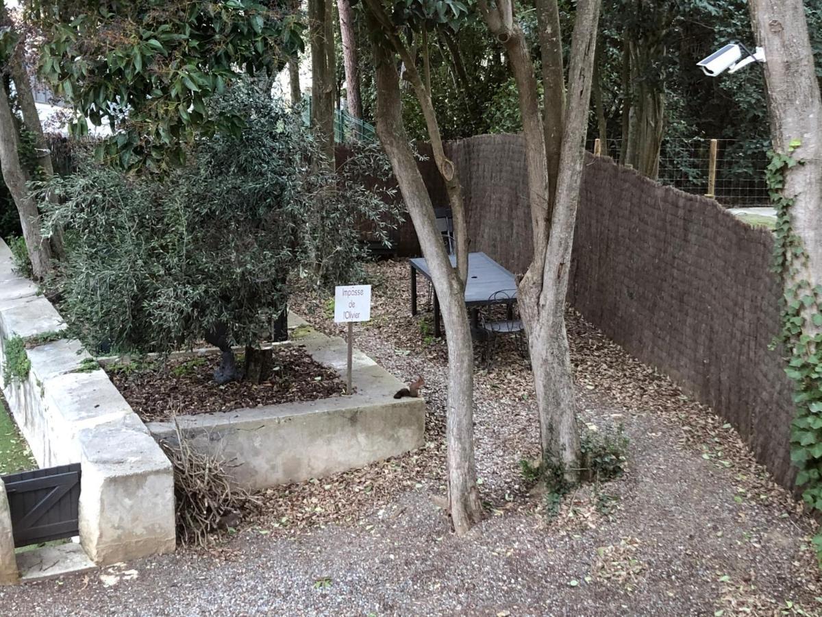Au Vieux Lavoir Avec Parking Prive, Jardin , Climatisation, A 500 M De La Cite Καρκασόν Εξωτερικό φωτογραφία