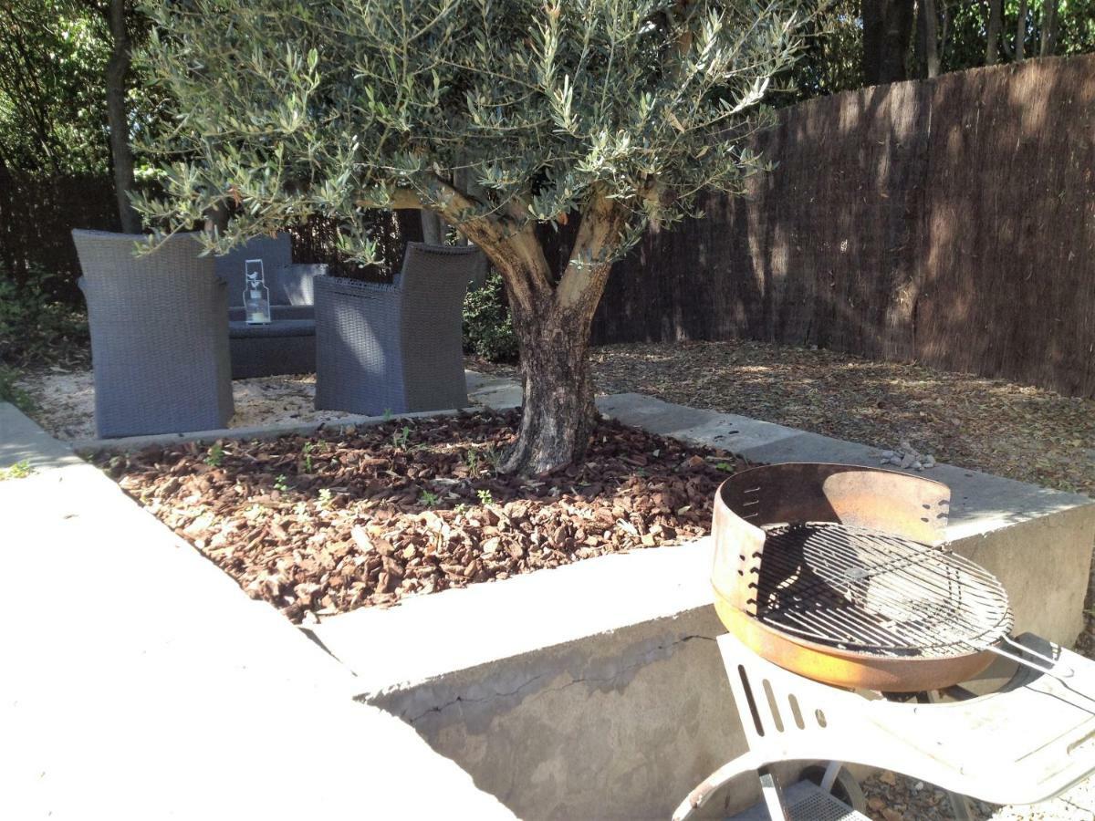 Au Vieux Lavoir Avec Parking Prive, Jardin , Climatisation, A 500 M De La Cite Καρκασόν Εξωτερικό φωτογραφία