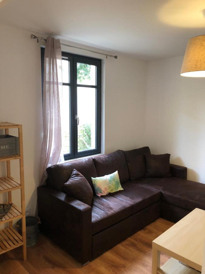 Au Vieux Lavoir Avec Parking Prive, Jardin , Climatisation, A 500 M De La Cite Καρκασόν Εξωτερικό φωτογραφία